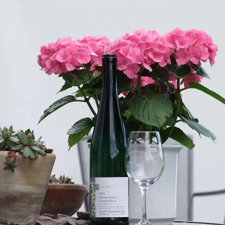 Weingut Arns דירה